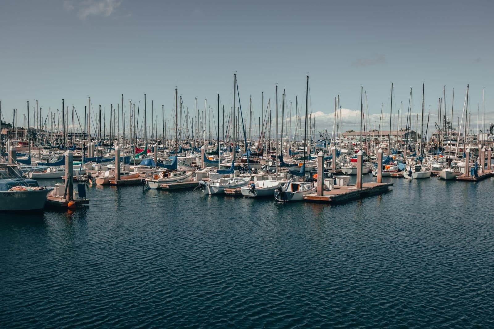 Rows of boats docked in a busy marina